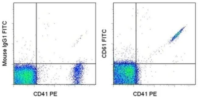 CD61 (Integrin beta 3) Monoclonal Antibody (VI-PL2), FITC, eBioscience