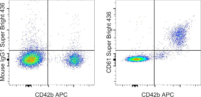 CD61 (Integrin beta 3) Monoclonal Antibody (VI-PL2), Super Bright 436, eBioscience