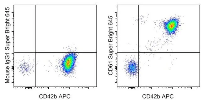 CD61 (Integrin beta 3) Monoclonal Antibody (VI-PL2), Super Bright 645, eBioscience