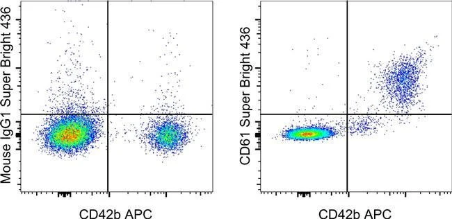 CD61 (Integrin beta 3) Monoclonal Antibody (VI-PL2), Super Bright™ 436, eBioscience™