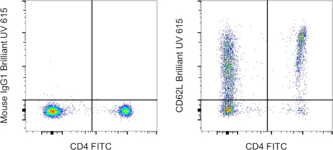 CD62L (L-Selectin) Monoclonal Antibody (DREG-56 (DREG56)), Brilliant Ultra Violet 615, eBioscience