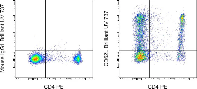 CD62L (L-Selectin) Monoclonal Antibody (DREG-56 (DREG56)), Brilliant Ultra Violet 737, eBioscience