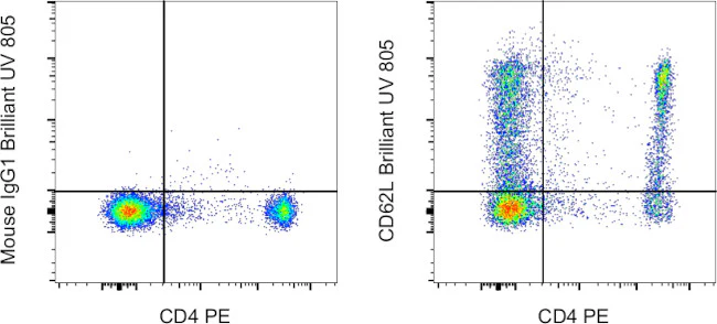 CD62L (L-Selectin) Monoclonal Antibody (DREG-56 (DREG56)), Brilliant Ultra Violet 805, eBioscience