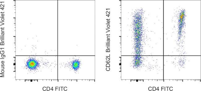 CD62L (L-Selectin) Monoclonal Antibody (DREG-56 (DREG56)), Brilliant Violet 421, eBioscience
