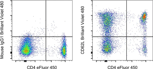 CD62L (L-Selectin) Monoclonal Antibody (DREG-56 (DREG56)), Brilliant Violet™ 480, eBioscience™