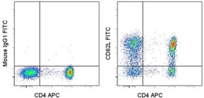 CD62L (L-Selectin) Monoclonal Antibody (DREG-56 (DREG56)), FITC, eBioscience