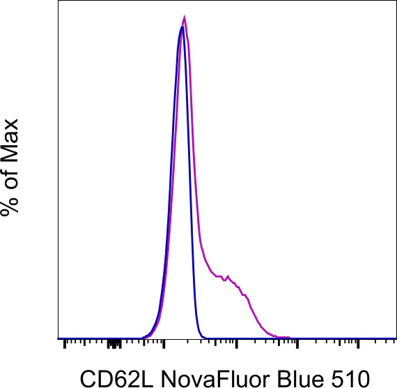 CD62L (L-Selectin) Monoclonal Antibody (DREG-56 (DREG56)), NovaFluor™ Blue 510