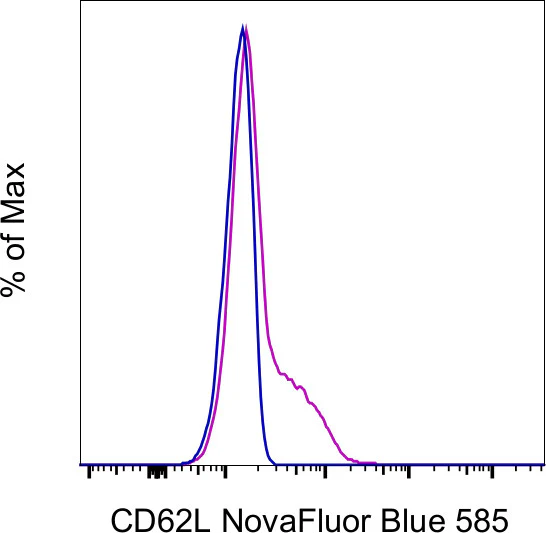 CD62L (L-Selectin) Monoclonal Antibody (DREG-56 (DREG56)), NovaFluor™ Blue 585