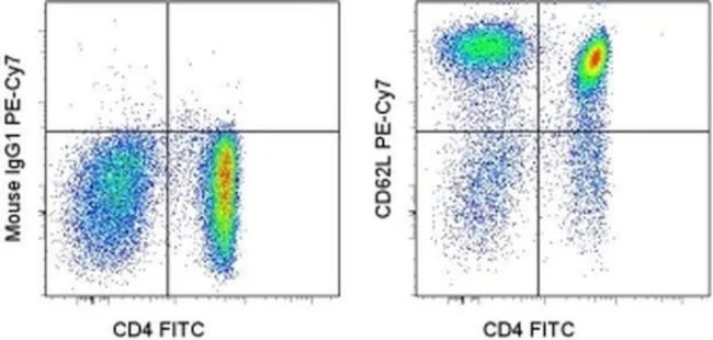 CD62L (L-Selectin) Monoclonal Antibody (DREG-56 (DREG56)), PE-Cyanine7, eBioscience