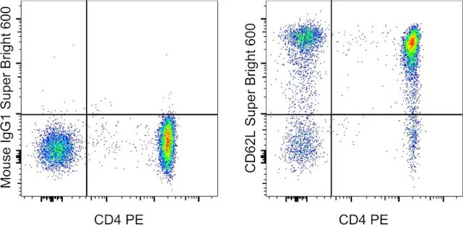 CD62L (L-Selectin) Monoclonal Antibody (DREG-56 (DREG56)), Super Bright 600, eBioscience