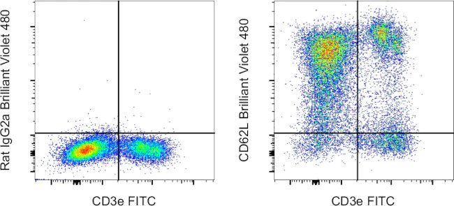 CD62L (L-Selectin) Monoclonal Antibody (MEL-14), Brilliant Violet 480, eBioscience
