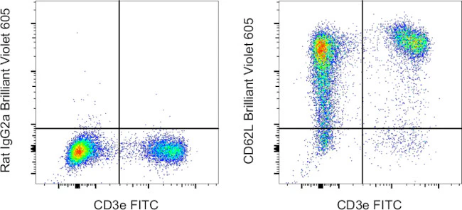 CD62L (L-Selectin) Monoclonal Antibody (MEL-14), Brilliant Violet 605, eBioscience