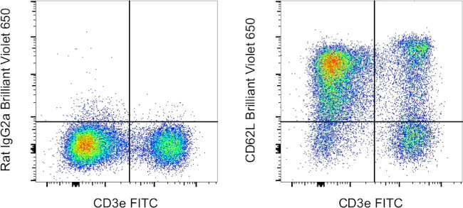 CD62L (L-Selectin) Monoclonal Antibody (MEL-14), Brilliant Violet 650, eBioscience