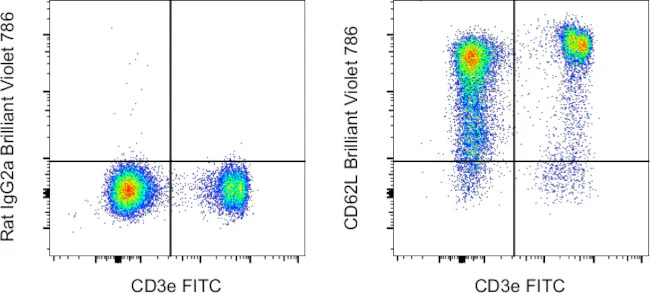 CD62L (L-Selectin) Monoclonal Antibody (MEL-14), Brilliant Violet™ 786