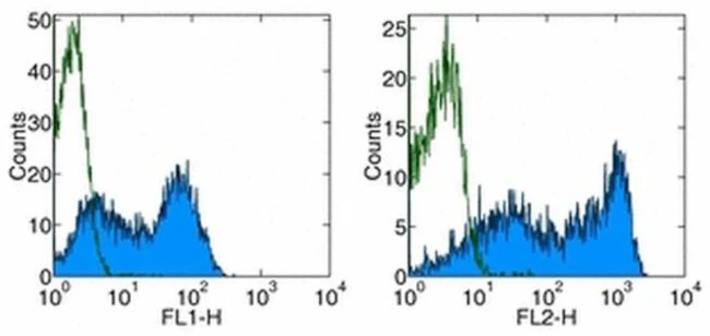 CD62L (L-Selectin) Monoclonal Antibody (MEL-14), Functional Grade, eBioscience