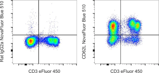 CD62L (L-Selectin) Monoclonal Antibody (MEL-14), NovaFluor™ Blue 510