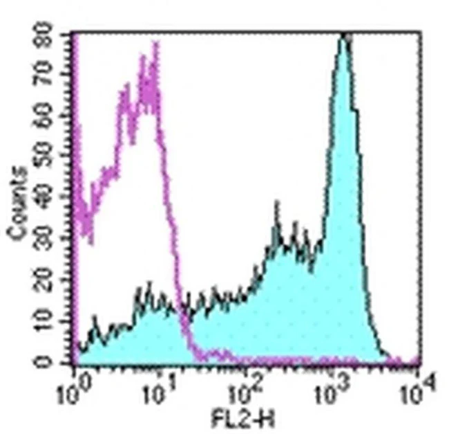 CD62L (L-Selectin) Monoclonal Antibody (MEL-14), PE, eBioscience