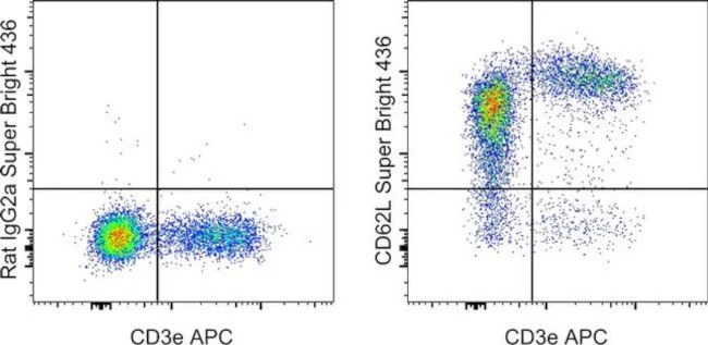 CD62L (L-Selectin) Monoclonal Antibody (MEL-14), Super Bright 436, eBioscience