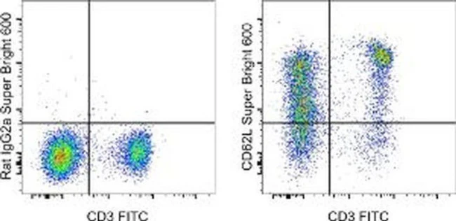 CD62L (L-Selectin) Monoclonal Antibody (MEL-14), Super Bright 600, eBioscience