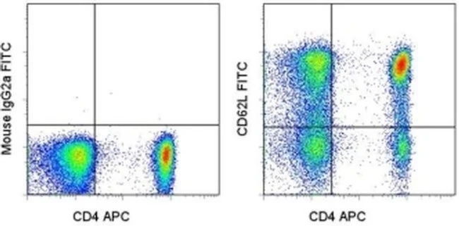 CD62L (L-Selectin) Monoclonal Antibody (SK11), FITC, eBioscience