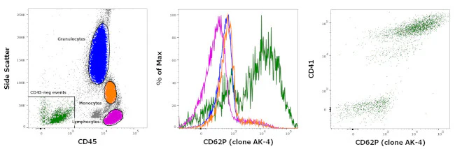 CD62P (P-Selectin) Monoclonal Antibody (AK-4), PE, eBioscience