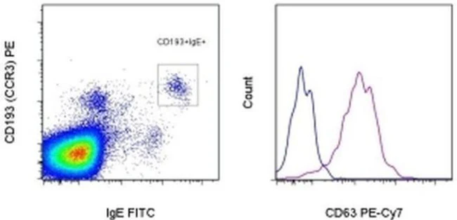 CD63 Monoclonal Antibody (H5C6), PE-Cyanine7, eBioscience