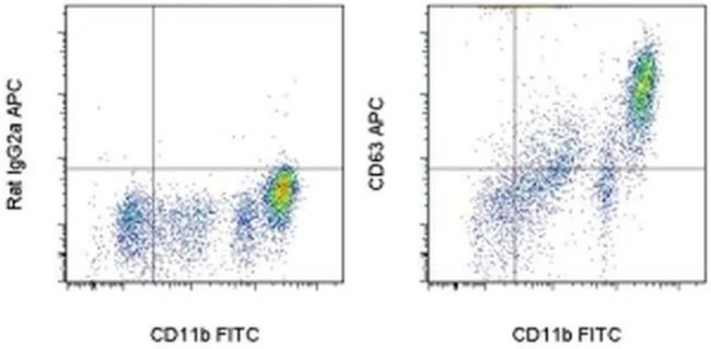CD63 Monoclonal Antibody (NVG-2), APC, eBioscience