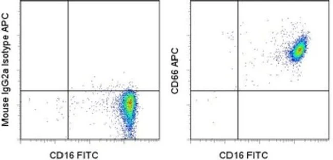 CD66 Monoclonal Antibody (CD66a-B1.1), APC, eBioscience