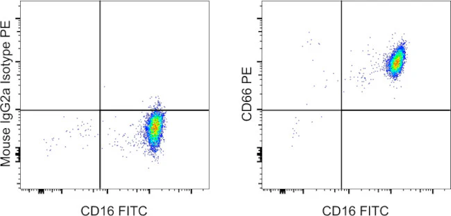 CD66 Monoclonal Antibody (CD66a-B1.1), PE, eBioscience