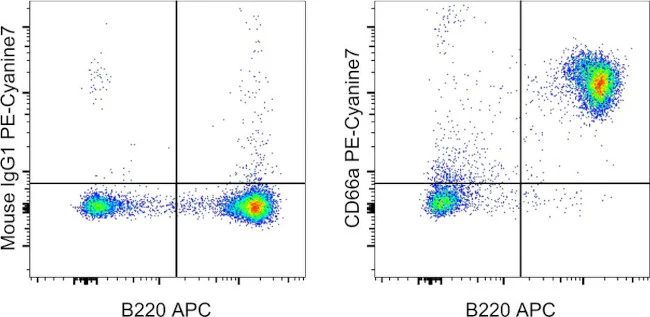 CD66a (CEACAM1) Monoclonal Antibody (CC1), PE-Cyanine7, eBioscience