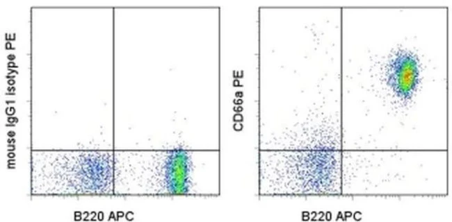 CD66a (CEACAM1) Monoclonal Antibody (CC1), PE, eBioscience