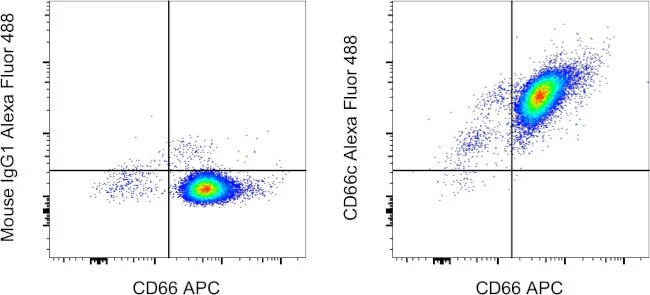 CD66c Monoclonal Antibody (KOR-SA3544), Alexa Fluor 488, eBioscience