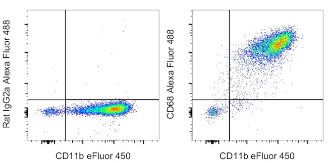 CD68 Monoclonal Antibody (FA-11), Alexa Fluor 488, eBioscience