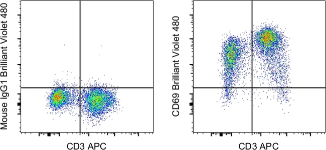 CD69 Monoclonal Antibody (FN50), Brilliant Violet 480, eBioscience
