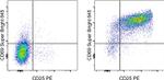 CD69 Monoclonal Antibody (H1.2F3), Super Bright™ 645