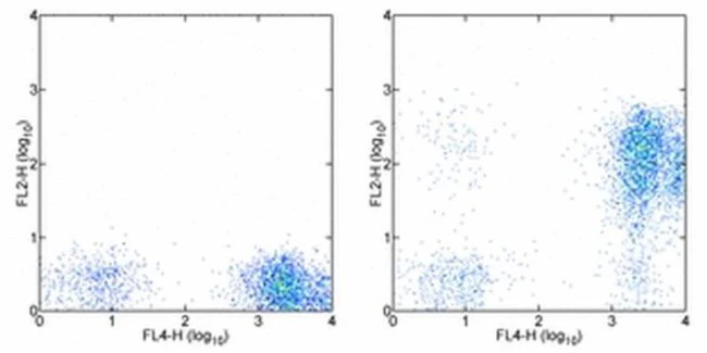 CD7 Monoclonal Antibody (eBio124-1D1 (124-1D1)), Biotin, eBioscience