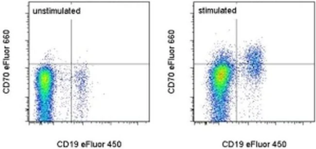 CD70 Monoclonal Antibody (113-16), eFluor 660, eBioscience