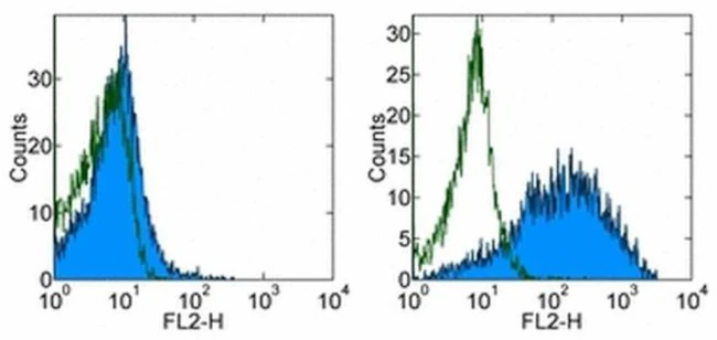 CD71 (Transferrin Receptor) Monoclonal Antibody (OKT9 (OKT-9)), Biotin, eBioscience