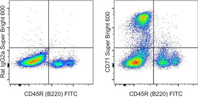 CD71 (Transferrin Receptor) Monoclonal Antibody (R17217 (RI7 217.1.4)), Super Bright 600, eBioscience