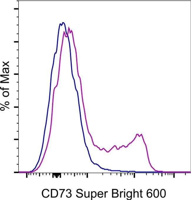 CD73 Monoclonal Antibody (AD2), Super Bright™ 600, eBioscience™