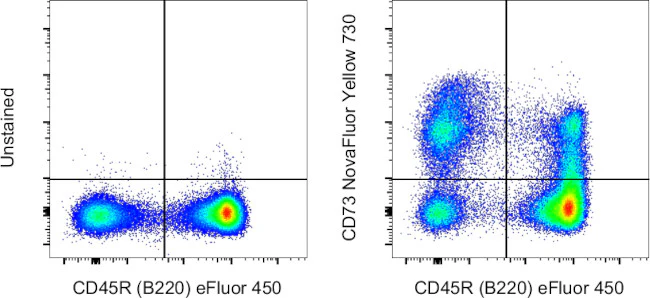 CD73 Monoclonal Antibody (eBioTY/11.8 (TY/11.8)), NovaFluor Yellow 730, eBioscience