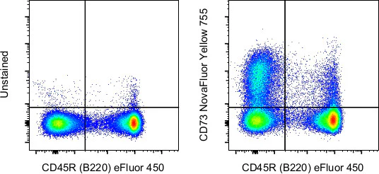 CD73 Monoclonal Antibody (eBioTY/11.8 (TY/11.8)), NovaFluor Yellow 755, eBioscience