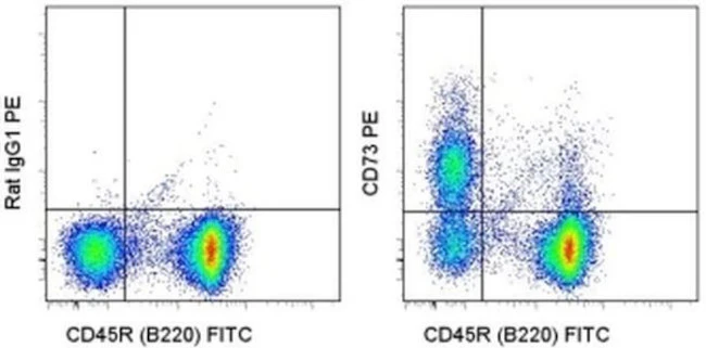 CD73 Monoclonal Antibody (eBioTY/11.8 (TY/11.8)), PE, eBioscience
