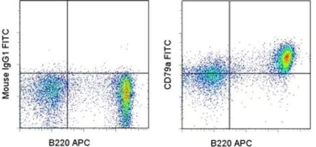 CD79a Monoclonal Antibody (24C2.5), FITC, eBioscience