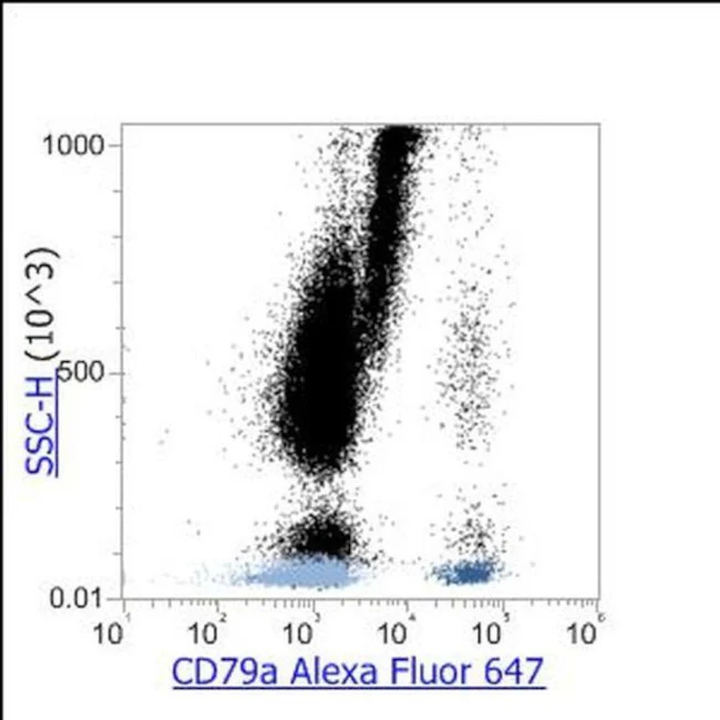 CD79a Monoclonal Antibody (HM47), Alexa Fluor 647