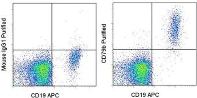 CD79b Monoclonal Antibody (CB3-1), eBioscience