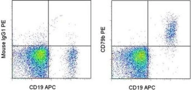 CD79b Monoclonal Antibody (CB3-1), PE, eBioscience