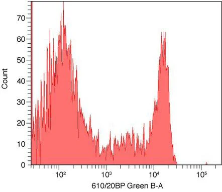 CD8 Monoclonal Antibody (3B5)