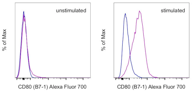 CD80 (B7-1) Monoclonal Antibody (16-10A1), Alexa Fluor 700, eBioscience