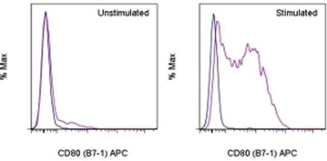CD80 (B7-1) Monoclonal Antibody (16-10A1), APC, eBioscience